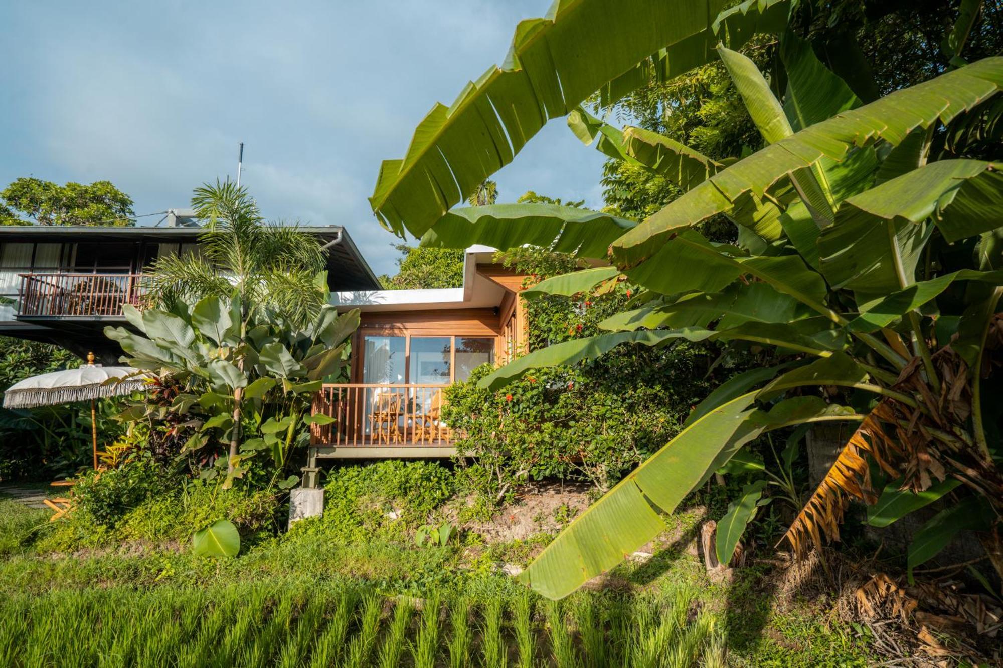 Gruen Ubud エクステリア 写真