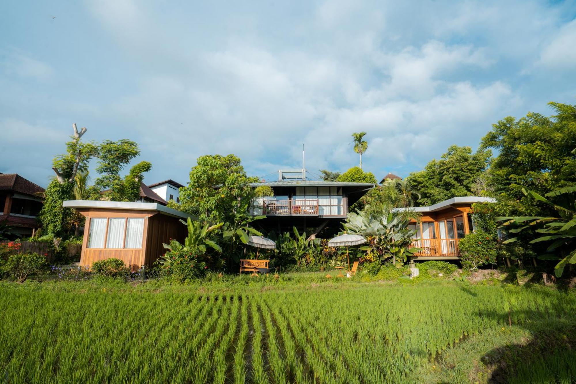 Gruen Ubud エクステリア 写真